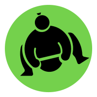 Ninth Sumo Logo